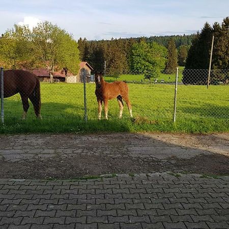 "Sous Les Barres" Apartman Montfaucon Kültér fotó