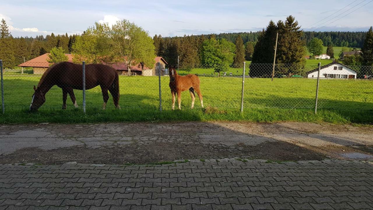 "Sous Les Barres" Apartman Montfaucon Kültér fotó